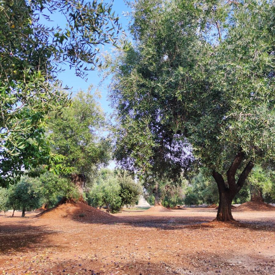 Masseria La Foggia Fasano Kültér fotó